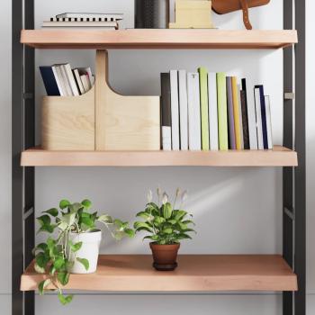ARDEBO.de - Wandregal Hellbraun 100x50x(2-6) cm Massivholz Eiche Behandelt
