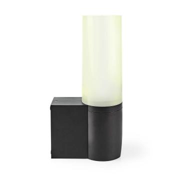 SmartLife Außenkamera | Umgebungslicht | Full HD 1080p | Pan tilt | IP65 | Cloud Storage (optional) / microSD (not enthalten) / Onvif | 100 - 240 V AC | Bewegungssensor | Nachtsicht | Schwarz