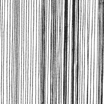 Fadenvorhänge 2 Stk. 140 x 250 cm Schwarz