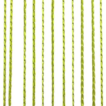 Fadenvorhänge 2 Stk. 100 x 250 cm Grün