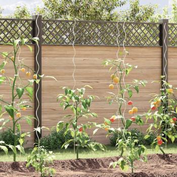 Tomaten-Spiralstäbe 5 Stk. 170 cm Verzinkter Stahl