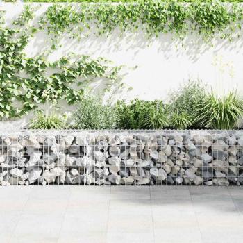 Gabionenwand mit Abdeckung Verzinkter Stahl 600×30×50 cm