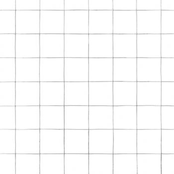 Drahtzaun Verzinkter Stahl 10x0,5 m Silbern