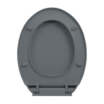 Toilettensitz mit Absenkautomatik Grau Oval