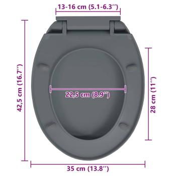 Toilettensitz mit Absenkautomatik Grau Oval