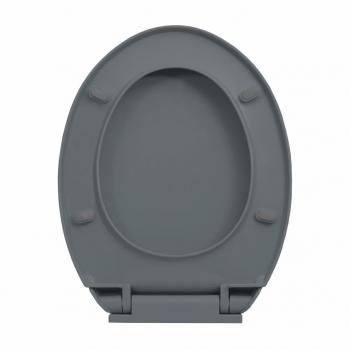 Toilettensitz mit Absenkautomatik Quick-Release Grau Oval