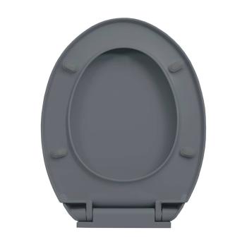 Toilettensitz mit Absenkautomatik Quick-Release Grau Oval