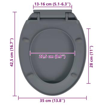 Toilettensitz mit Absenkautomatik Quick-Release Grau Oval