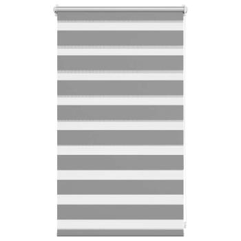 Doppelrollo 50 x 100 cm grau