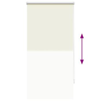 Verdunklungsrollo Verdunkelungsrollo Rollo 60x120 creme