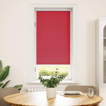 Verdunklungsrollo Verdunkelungsrollo Rollo 60x120 Rot