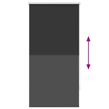 Verdunklungsrollo Verdunkelungsrollo Rollo 60x120 schwarz