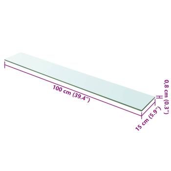 Regalboden Glas Transparent 100x15 cm