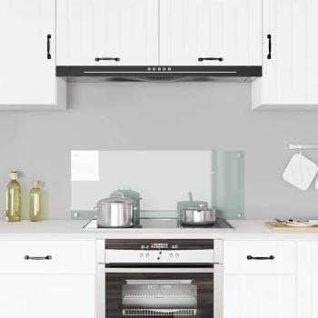 Küchenrückwand Transparent 100×40 cm Hartglas