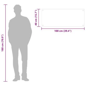 Küchenrückwand Transparent 100×40 cm Hartglas