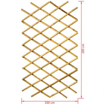 Nature Garten-Rankgitter 100x200 cm Bambus 6040722