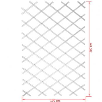 Nature Garten-Rankgitter 100x200 cm PVC Weiß 6040703