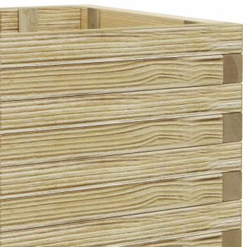 Hochbeet 100x50x40 cm Holz Rechteckig