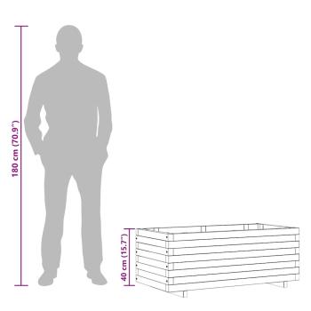 Hochbeet 100x50x40 cm Holz Rechteckig