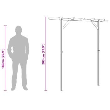 Gartenpergola 205x40x203 cm Holz