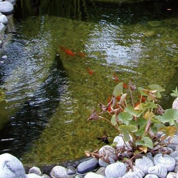ARDEBO.de - Ubbink Gartenteich-Kies 10 kg 8-12 mm 1373125