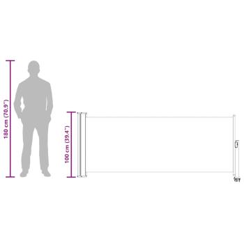 Ausziehbare Seitenmarkise 100x300 cm Braun 