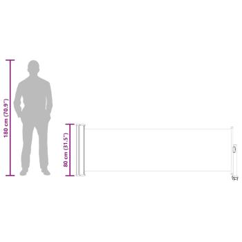 Ausziehbare Seitenmarkise 80×300 cm Schwarz