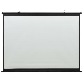 Beamer Leinwand 67" 1:1