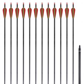 ARDEBO.de - Recurvebogen-Pfeile 30" 0,76 cm Carbon 12 Stk.