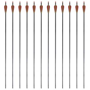 Recurvebogen-Pfeile 30" 0,76 cm Carbon 12 Stk.