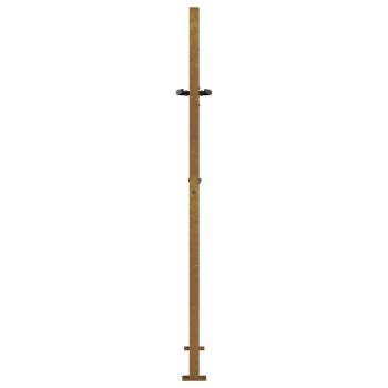 Gartentor 105x155 cm Cortenstahl Gras-Design