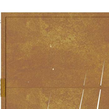 Gartentor 105x205 cm Cortenstahl Gras-Design
