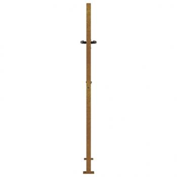 Gartentor 105x130 cm Cortenstahl Gras-Design