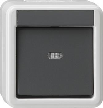 ARDEBO.de Gira 010630 Wippschalter, 10 A, 250 V~, Universal Aus Wechselschalter, Wassergeschützt Aufputz System IP 44, grau