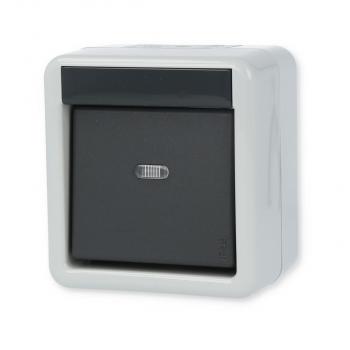 Gira 010630 Wippschalter, 10 A, 250 V~, Universal Aus Wechselschalter, Wassergeschützt Aufputz System IP 44, grau