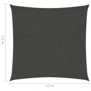 Sonnensegel 160 g/m² Anthrazit 2,5x2,5 m HDPE