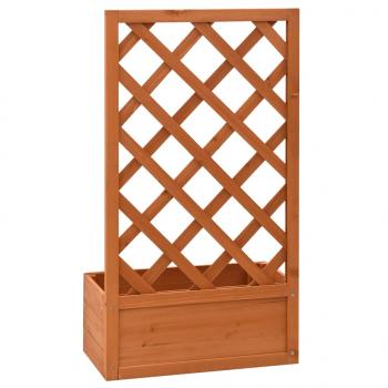 Garten-Spalier mit Blumenkasten Orange 50x25x90 cm Tannenholz 