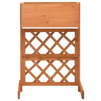 Garten-Spalier mit Blumenkasten Orange 45x30x74 cm Tannenholz 