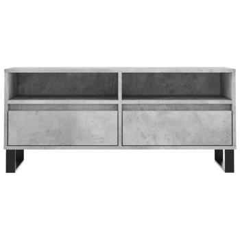 TV-Schrank Betongrau 100x34,5x44,5 cm Holzwerkstoff
