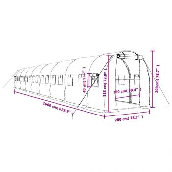 Gewächshaus mit Stahlrahmen Grün 32 m² 16x2x2 m