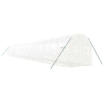Gewächshaus mit Stahlrahmen Weiß 40 m² 20x2x2 m