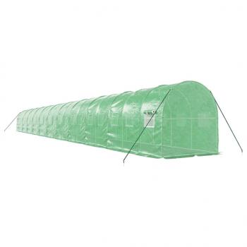 Gewächshaus mit Stahlrahmen Grün 44 m² 22x2x2 m