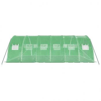 Gewächshaus mit Stahlrahmen Grün 24 m² 6x4x2 m
