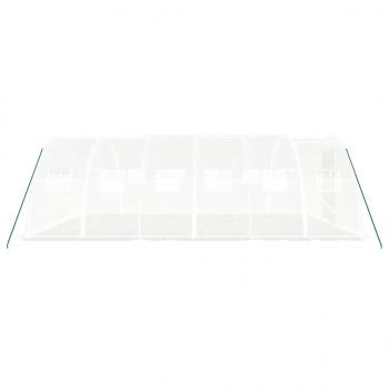 Gewächshaus mit Stahlrahmen Weiß 24 m² 6x4x2 m