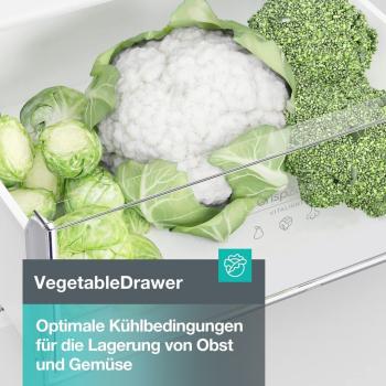 Gorenje NRK418ECS4 Kühl-Gefrierkombination, grau, 256L, 55cm breit, LED Beleuchtung, NoFrost Plus *ANGEBOT*
