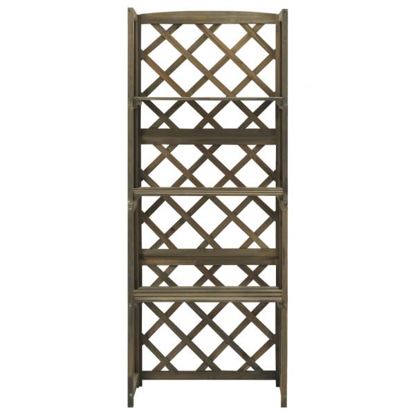 Spalier mit Ablagen Grau 55x30x140 cm Massivholz Tanne
