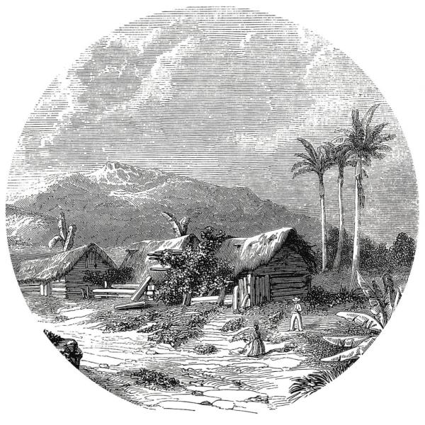 WallArt Fototapete Landscape of Guadeloupe 190 cm