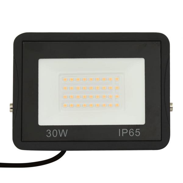 LED-Fluter 2 Stk. 30W Kaltweiß