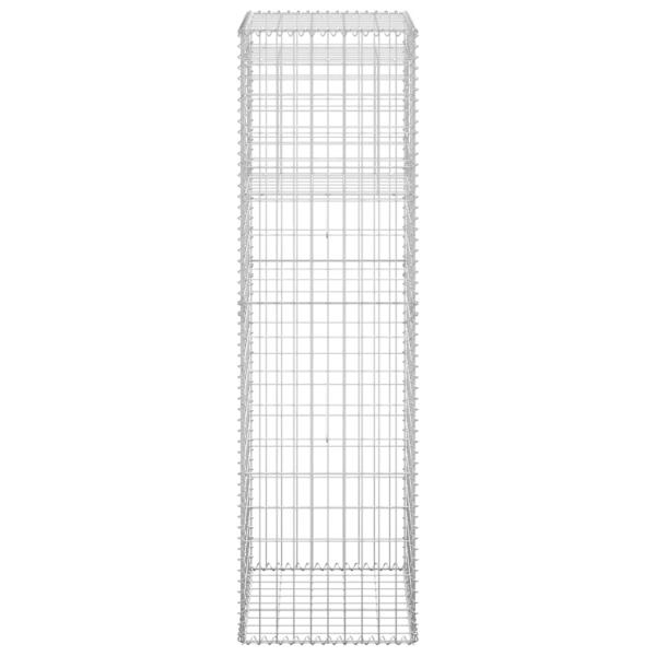 Gabionensäulen 2 Stk. 50x50x180 cm Eisen