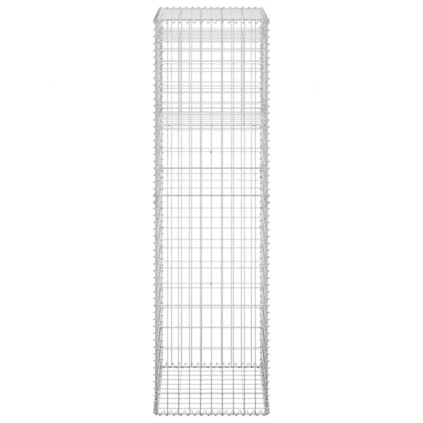 Gabionensäulen 2 Stk. 50x50x180 cm Eisen